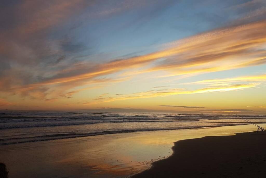 T2 Qaurtier Couchant, Vue Parc, Au Calme, A 5 Min De La Plage La Grande-Motte Eksteriør billede